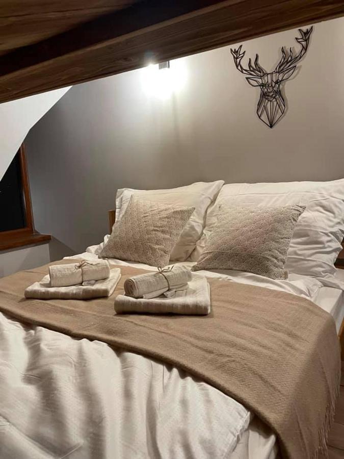 Apartamenty Miejscowka - Apartamenty Z Widokiem Na Gory - Bezplatny Parking Zakopane Eksteriør billede