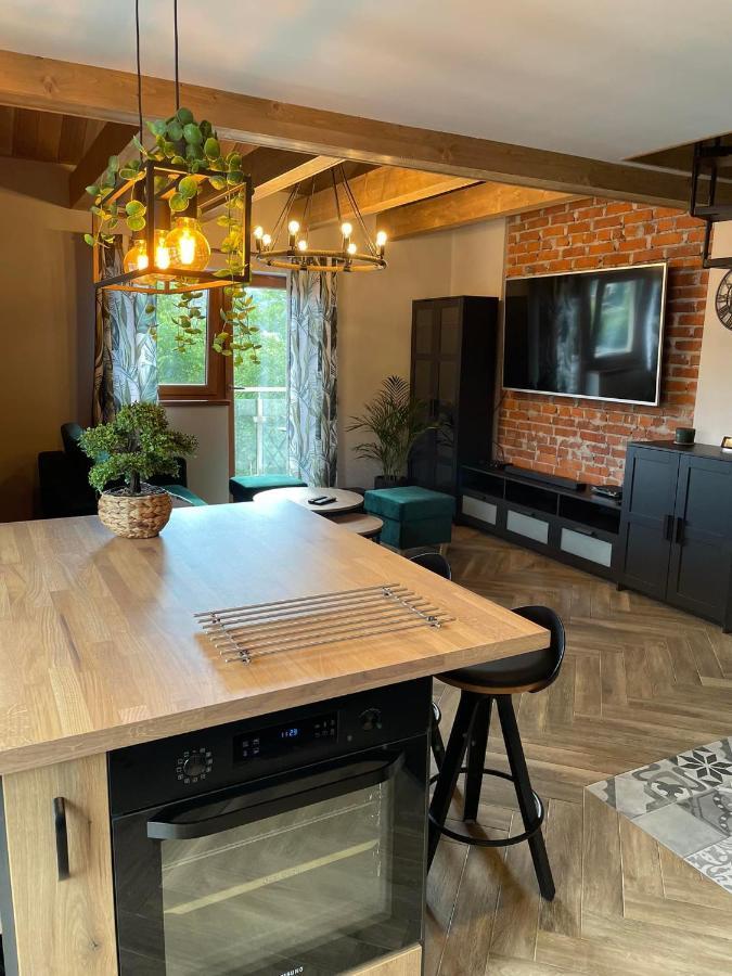Apartamenty Miejscowka - Apartamenty Z Widokiem Na Gory - Bezplatny Parking Zakopane Eksteriør billede